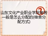 山东文化产业职业学院宿舍一般是怎么分配的(宿舍分配方式)