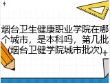 烟台卫生健康职业学院在哪个城市，是本科吗，第几批(烟台卫健学院城市批次)