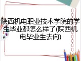陕西机电职业技术学院的学生毕业都怎么样了(陕西机电毕业生去向)