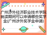 广州涉外经济职业技术学院就读期间可以申请哪些奖学金(广州涉外奖学金申请)