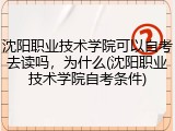 沈阳职业技术学院可以自考去读吗，为什么(沈阳职业技术学院自考条件)