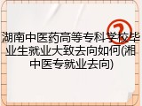 湖南中医药高等专科学校毕业生就业大致去向如何(湘中医专就业去向)