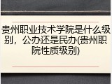 贵州职业技术学院是什么级别，公办还是民办(贵州职院性质级别)