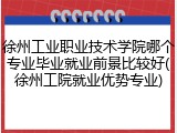 徐州工业职业技术学院哪个专业毕业就业前景比较好(徐州工院就业优势专业)