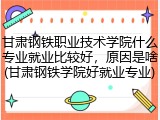 甘肃钢铁职业技术学院什么专业就业比较好，原因是啥(甘肃钢铁学院好就业专业)