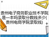 贵州电子商务职业技术学院是一本吗录取分数线多少(贵州电商学院录取线)