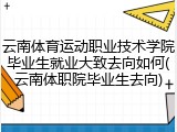 云南体育运动职业技术学院毕业生就业大致去向如何(云南体职院毕业生去向)