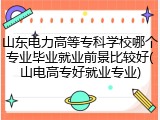 山东电力高等专科学校哪个专业毕业就业前景比较好(山电高专好就业专业)