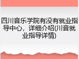 四川音乐学院有没有就业指导中心，详细介绍(川音就业指导详情)