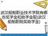 武汉船舶职业技术学院有哪些奖学金和助学金呢(武汉船舶职院奖助学金)