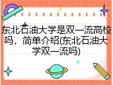 东北石油大学是双一流高校吗，简单介绍(东北石油大学双一流吗)