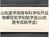 山东医学高等专科学校开设有哪些奖学和助学金(山东医专奖助学金)