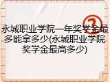 永城职业学院一年奖学金最多能拿多少(永城职业学院奖学金最高多少)