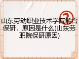 山东劳动职业技术学院能否保研，原因是什么(山东劳职院保研原因)