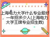 上海电力大学什么专业最好，一年招多少人(上海电力大学王牌专业招生数)