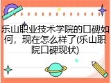 乐山职业技术学院的口碑如何，现在怎么样了(乐山职院口碑现状)