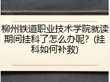 柳州铁道职业技术学院就读期间挂科了怎么办呢？(挂科如何补救)