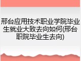邢台应用技术职业学院毕业生就业大致去向如何(邢台职院毕业生去向)
