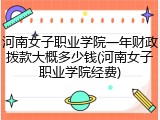河南女子职业学院一年财政拨款大概多少钱(河南女子职业学院经费)