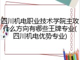 四川机电职业技术学院主攻什么方向有哪些王牌专业(四川机电优势专业)