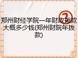 郑州财经学院一年财政拨款大概多少钱(郑州财院年拨款)
