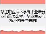 怒江职业技术学院毕业后就业前景怎么样，毕业生去向(就业前景与去向)