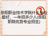 岳阳职业技术学院什么专业最好，一年招多少人(岳阳职院优势专业招生)