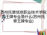 苏州托普信息职业技术学院的王牌专业是什么(苏州托普王牌专业)