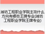 潍坊工程职业学院主攻什么方向有哪些王牌专业(潍坊工程职业学院王牌专业)