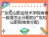 广东松山职业技术学院宿舍一般是怎么分配的(广东松山职院宿舍分配)