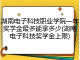 湖南电子科技职业学院一年奖学金最多能拿多少(湖南电子科技奖学金上限)