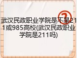 武汉民政职业学院是不是211或985高校(武汉民政职业学院是211吗)