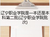 辽宁职业学院是一本还是本科第二批(辽宁职业学院批次)