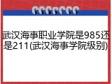 武汉海事职业学院是985还是211(武汉海事学院级别)