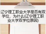 辽宁理工职业大学是否有双学位，为什么(辽宁理工职业大学双学位原因)