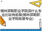 锡林郭勒职业学院读什么专业比较有前景(锡林郭勒职业学院前景专业)