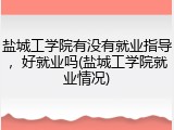 盐城工学院有没有就业指导，好就业吗(盐城工学院就业情况)