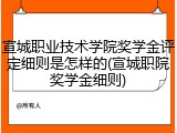 宣城职业技术学院奖学金评定细则是怎样的(宣城职院奖学金细则)