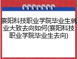 襄阳科技职业学院毕业生就业大致去向如何(襄阳科技职业学院毕业生去向)
