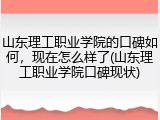 山东理工职业学院的口碑如何，现在怎么样了(山东理工职业学院口碑现状)
