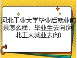 河北工业大学毕业后就业前景怎么样，毕业生去向(河北工大就业去向)