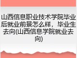 山西信息职业技术学院毕业后就业前景怎么样，毕业生去向(山西信息学院就业去向)