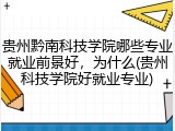 贵州黔南科技学院哪些专业就业前景好，为什么(贵州科技学院好就业专业)