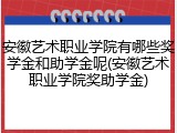 安徽艺术职业学院有哪些奖学金和助学金呢(安徽艺术职业学院奖助学金)