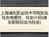 上海浦东职业技术学院知名校友有哪些，校史介绍(浦东职院校友与校史)