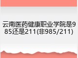 云南医药健康职业学院是985还是211(非985/211)