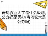 青岛农业大学是什么级别，公办还是民办(青岛农大是公办吗)
