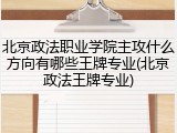 北京政法职业学院主攻什么方向有哪些王牌专业(北京政法王牌专业)