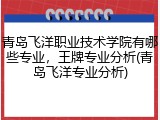 青岛飞洋职业技术学院有哪些专业，王牌专业分析(青岛飞洋专业分析)