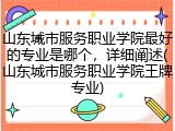 山东城市服务职业学院最好的专业是哪个，详细阐述(山东城市服务职业学院王牌专业)